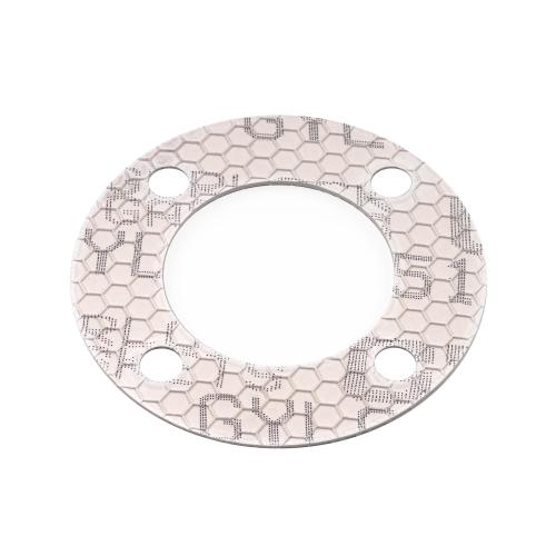 Gaskets Gylon EPIX Style 3510 EPX white 
